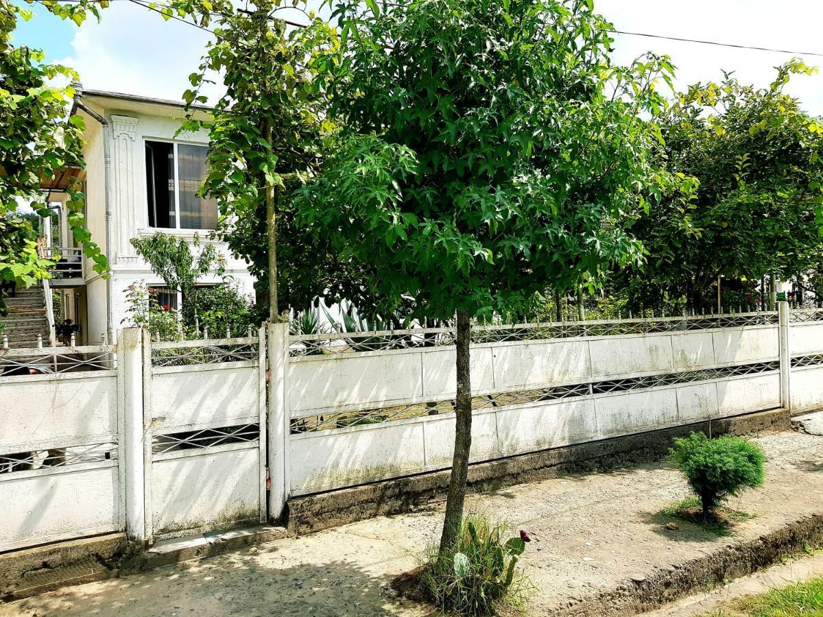 Shirim Guesthouse 祖格迪迪 外观 照片
